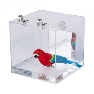 Acrylic Bird Cages (1)