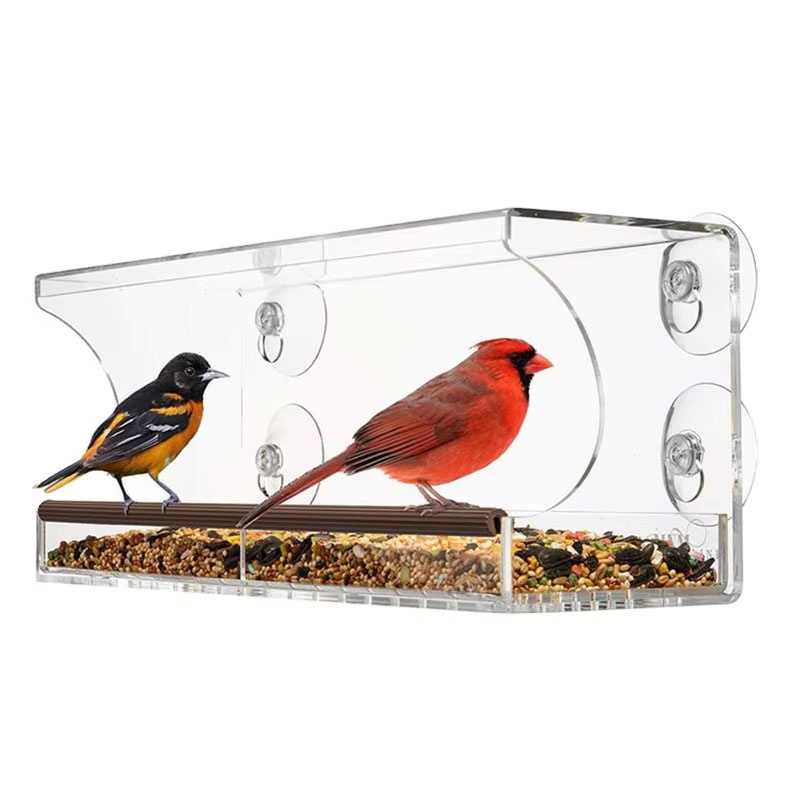 Acrylic Bird Cages (3)