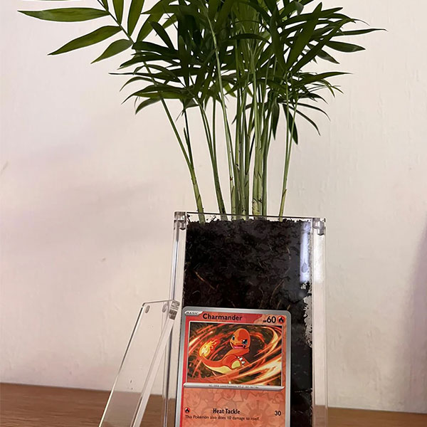Pokémon acrylic cases (5)